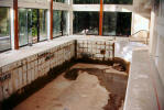 ICF Swimming Pool
